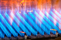 East Allington gas fired boilers